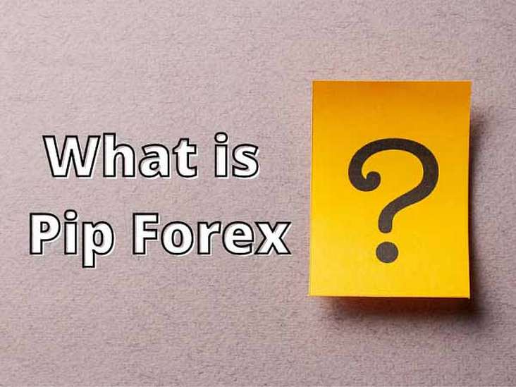 Pip đo lường biến động giá của các cặp tiền tệ trong ngoại hối Forex