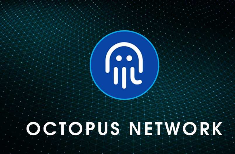 Octopus là token của Near Protocol